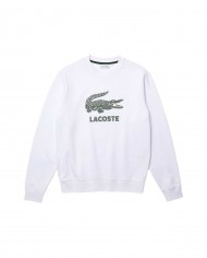 Felpa on sale girocollo lacoste